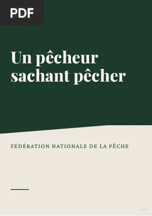 Un pêcheur sachant pêcher