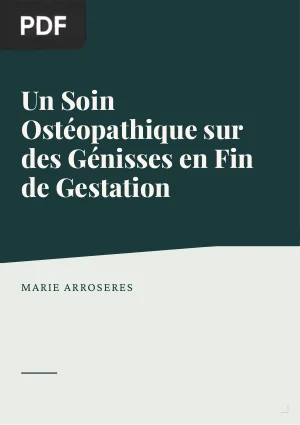Un Soin Ostéopathique sur des Génisses en Fin de Gestation