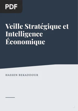 Veille Stratégique et Intelligence Économique