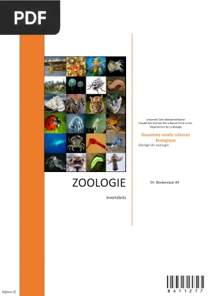 Zoologie : Invertébrés